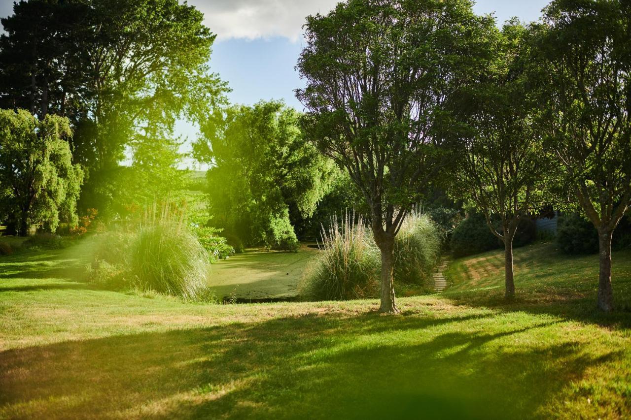 מרטינבורו Parehua Resort חדר תמונה